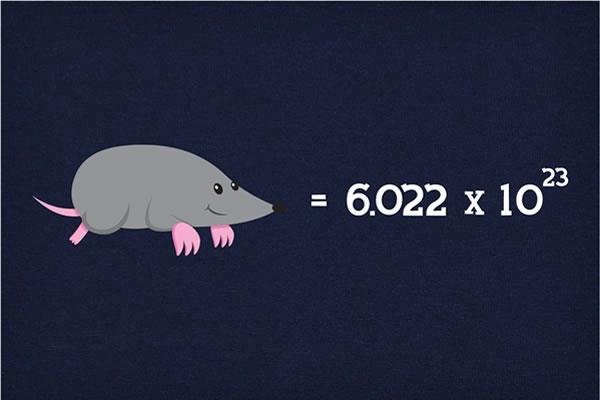 mole image